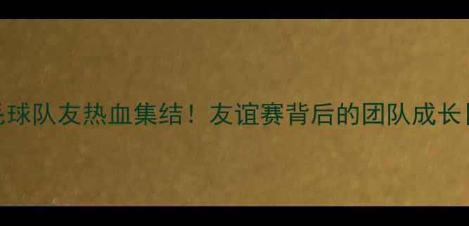 图片 🌟羽毛球队友热血集结！友谊赛背后的团队成长日记🌟