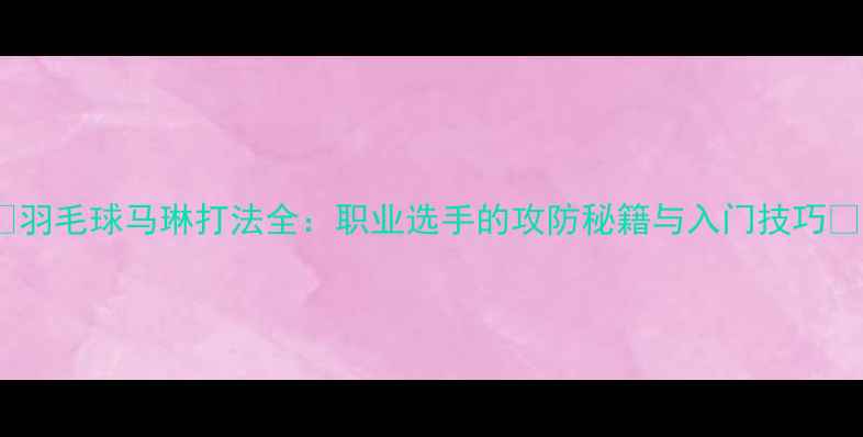 图片 🌟羽毛球马琳打法全：职业选手的攻防秘籍与入门技巧🌟1
