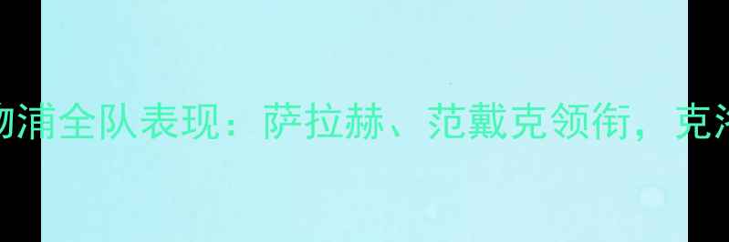 图片 🌟赛季利物浦全队表现：萨拉赫、范戴克领衔，克洛普战术🌟
