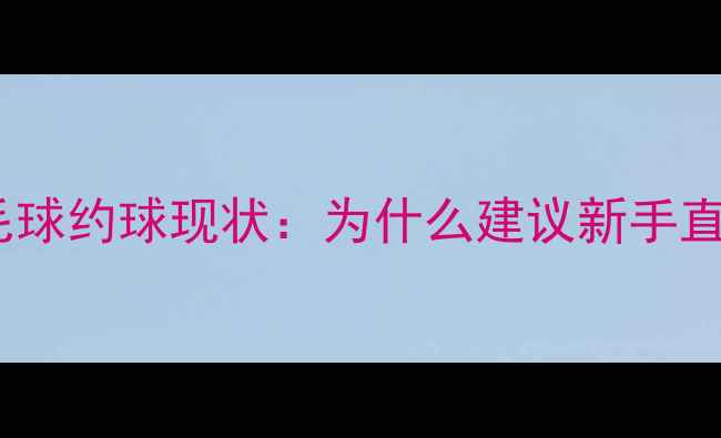 图片 🌟阳江羽毛球约球现状：为什么建议新手直接约战？2