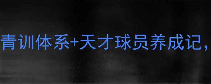 图片 🌟阿塞拜疆足球崛起秘籍！青训体系+天才球员养成记，看小国如何逆袭欧洲杯？2