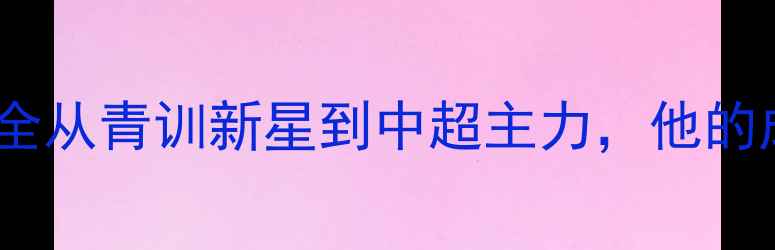 图片 🌟！王子铭球员资料全从青训新星到中超主力，他的成长之路有多燃？🏆1