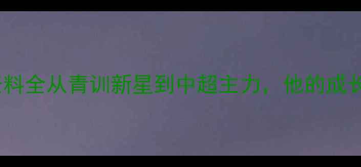图片 🌟！王子铭球员资料全从青训新星到中超主力，他的成长之路有多燃？🏆2