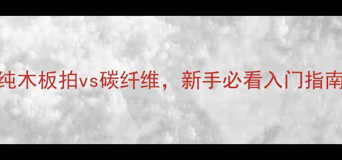 图片 🎾乒乓球拍推荐：纯木板拍vs碳纤维，新手必看入门指南！附选购避坑清单