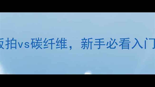 图片 🎾乒乓球拍推荐：纯木板拍vs碳纤维，新手必看入门指南！附选购避坑清单1