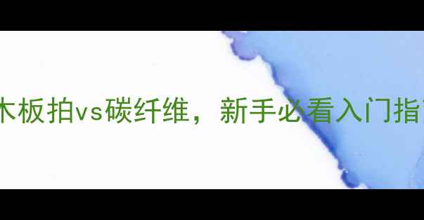 图片 🎾乒乓球拍推荐：纯木板拍vs碳纤维，新手必看入门指南！附选购避坑清单2