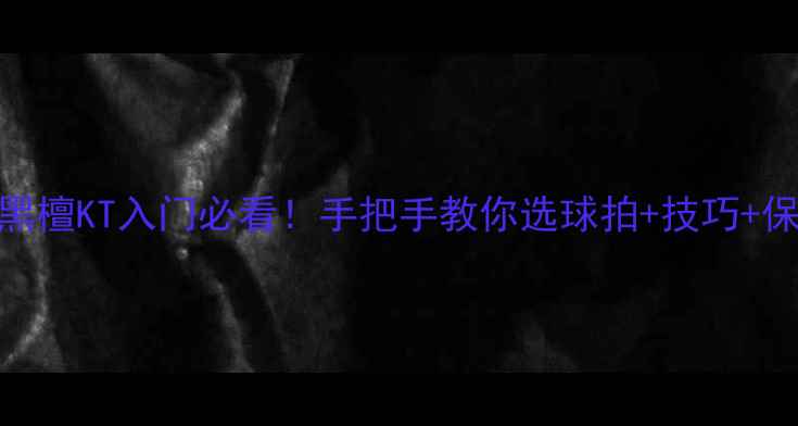 图片 🎾乒乓球黑檀KT入门必看！手把手教你选球拍+技巧+保养全攻略