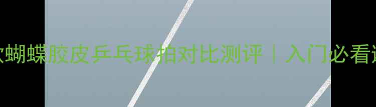图片 🎾最新款蝴蝶胶皮乒乓球拍对比测评｜入门必看避坑指南