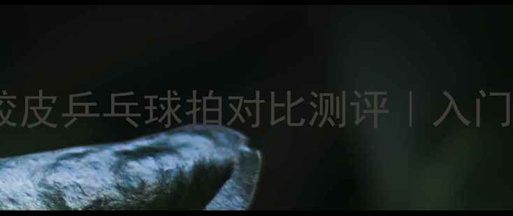 图片 🎾最新款蝴蝶胶皮乒乓球拍对比测评｜入门必看避坑指南1