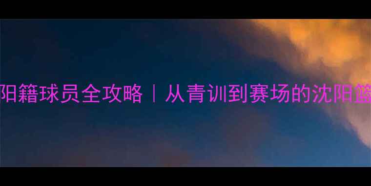 图片 🏀CBA沈阳籍球员全攻略｜从青训到赛场的沈阳篮球传奇1