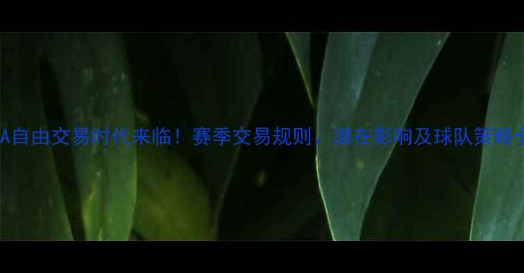 图片 🏀CBA自由交易时代来临！赛季交易规则、潜在影响及球队策略全🔥2