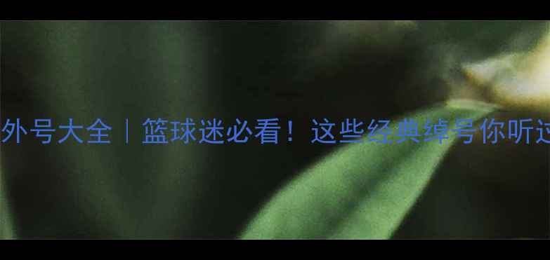 图片 🏀NBA球员外号大全｜篮球迷必看！这些经典绰号你听过几个？💡