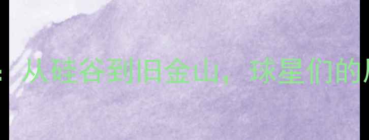 图片 🏀勇士球员安家指南：从硅谷到旧金山，球星们的居住选择与生活日常1