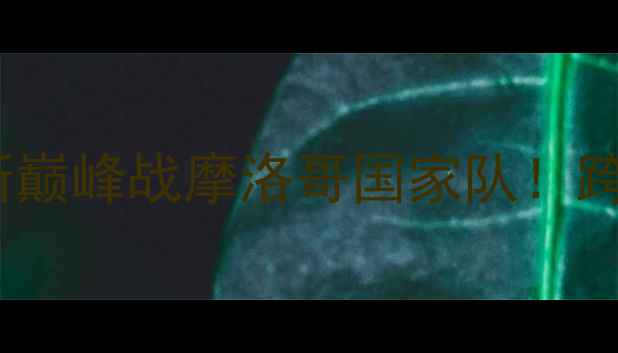 图片 🏀勒布朗·詹姆斯巅峰战摩洛哥国家队！跨界对决战术全🌍1