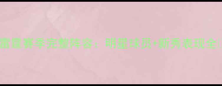 图片 🏀雷霆赛季完整阵容：明星球员+新秀表现全🔥2