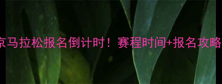 图片 🏃♀️北京马拉松报名倒计时！赛程时间+报名攻略全🏃♂️1