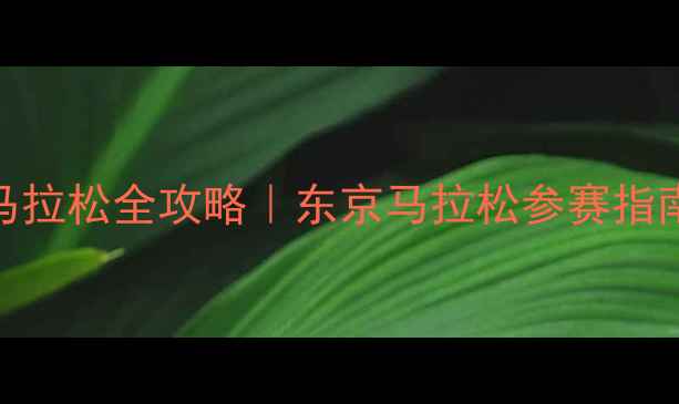 图片 🏃♀️日本马拉松全攻略｜东京马拉松参赛指南+装备清单2