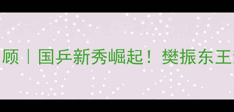 图片 🏆13届全运会乒乓球赛事全回顾｜国乒新秀崛起！樊振东王楚钦高光对决+赛制+观赛攻略