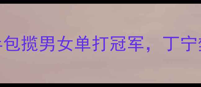 图片 🏆乒乓球中国赛决赛燃爆全场！国乒包揽男女单打冠军，丁宁樊振东高光时刻回顾+未来赛事前瞻2