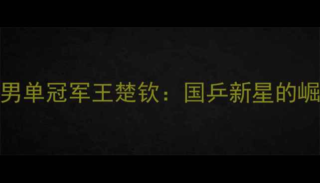 图片 🏆乒乓球男单冠军王楚钦：国乒新星的崛起之路🏆