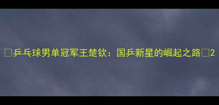 图片 🏆乒乓球男单冠军王楚钦：国乒新星的崛起之路🏆2