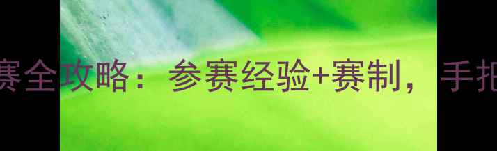 图片 🏆乒乓球积分赛全攻略：参赛经验+赛制，手把手教你拿奖！
