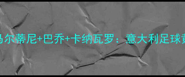 图片 🏆传奇意大利球员全马尔蒂尼+巴乔+卡纳瓦罗：意大利足球黄金时代的三大守护神