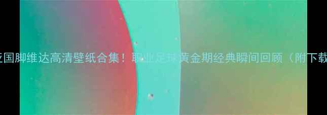 图片 🏆克罗地亚国脚维达高清壁纸合集！职业足球黄金期经典瞬间回顾（附下载链接）📸1