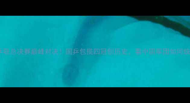图片 🏆国际乒联总决赛巅峰对决！国乒包揽四冠创历史，看中国军团如何统治赛场2