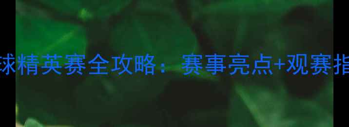 图片 🏆大连国际保龄球精英赛全攻略：赛事亮点+观赛指南+交通住宿全2