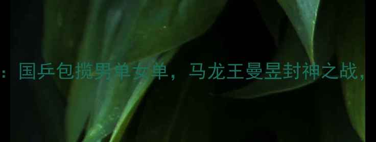 图片 🏆天津全运会乒乓球决赛：国乒包揽男单女单，马龙王曼昱封神之战，这些高光瞬间燃爆全网！