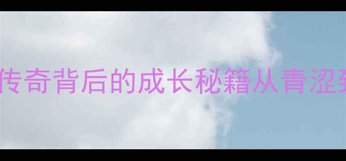 图片 🏆张迟1995乒乓球：国乒传奇背后的成长秘籍从青涩到巅峰的十年蜕变全记录2