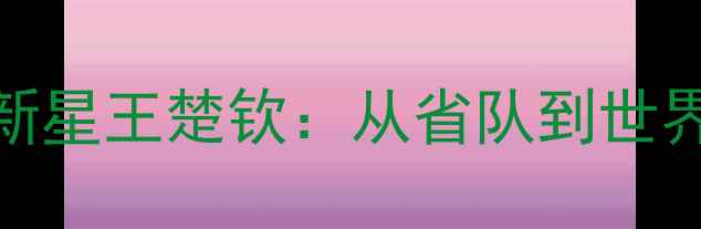 图片 🏆辽宁乒乓国乒新星王楚钦：从省队到世界冠军的逆袭之路