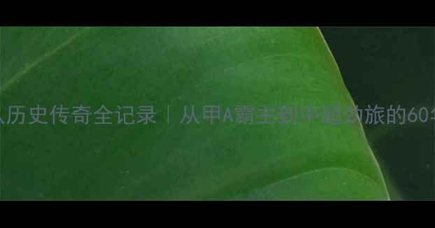 图片 🏆鲁能足球队历史传奇全记录｜从甲A霸主到中超劲旅的60年球星图谱💥