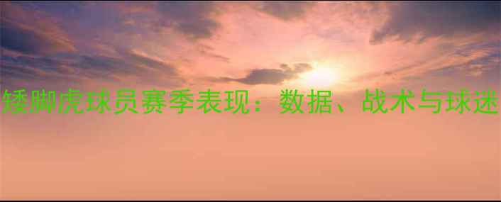 图片 🏆！广东矮脚虎球员赛季表现：数据、战术与球迷热议全🏀