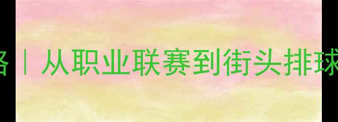 图片 🏐排球赛事全攻略｜从职业联赛到街头排球的12种玩法指南2