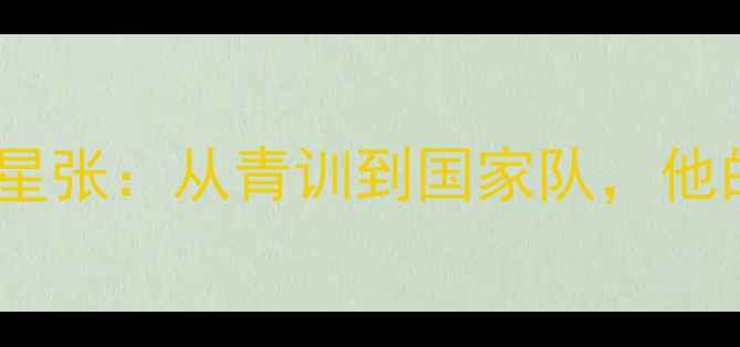 图片 🏒中国冰球明星张：从青训到国家队，他的逆袭之路！1