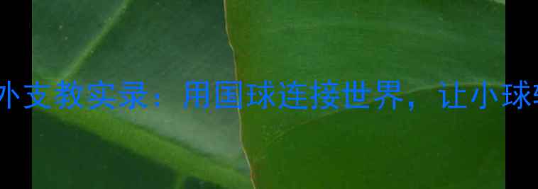 图片 🏓中国乒乓教练海外支教实录：用国球连接世界，让小球转动外交新篇章🌍1