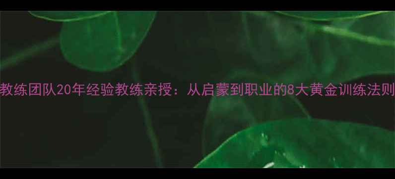 图片 🏓乒乓球国家队教练团队20年经验教练亲授：从启蒙到职业的8大黄金训练法则（附装备清单）