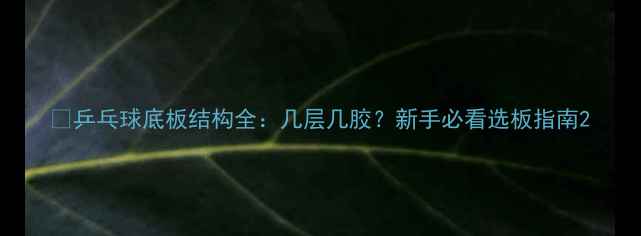 图片 🏓乒乓球底板结构全：几层几胶？新手必看选板指南2