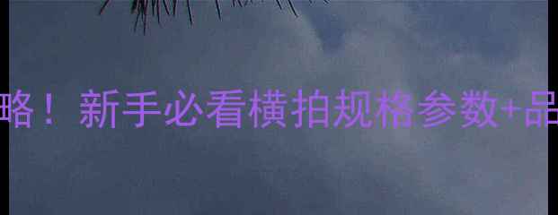 图片 🏓乒乓球横拍选购全攻略！新手必看横拍规格参数+品牌推荐（附避坑指南）