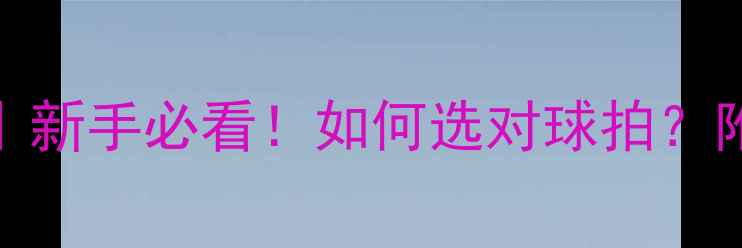 图片 🏓乒乓球球拍数据｜新手必看！如何选对球拍？附详细参数对比表🔥