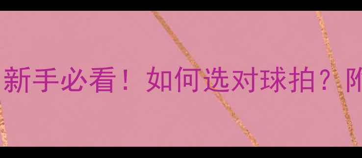 图片 🏓乒乓球球拍数据｜新手必看！如何选对球拍？附详细参数对比表🔥1