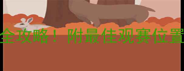 图片 🏓乒乓球看台选位置全攻略！附最佳观赛位置+拍照技巧，速存！1