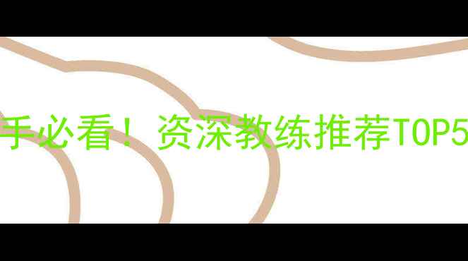 图片 🏓乒乓球硬木底板选购指南：新手必看！资深教练推荐TOP5品牌+如何挑选硬木底板全攻略2