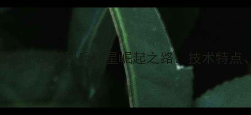 图片 🏓乒乓球罗铮最新年龄曝光！25岁国乒新星崛起之路：技术特点、职业生涯及未来展望🏓