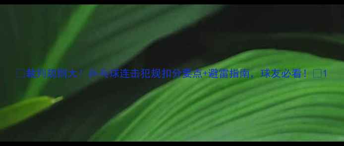 图片 🏓裁判规则大！乒乓球连击犯规扣分要点+避雷指南，球友必看！🏓1