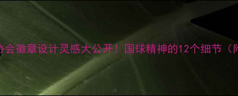 图片 🏓️乒乓球协会徽章设计灵感大公开！国球精神的12个细节（附DIY教程）2