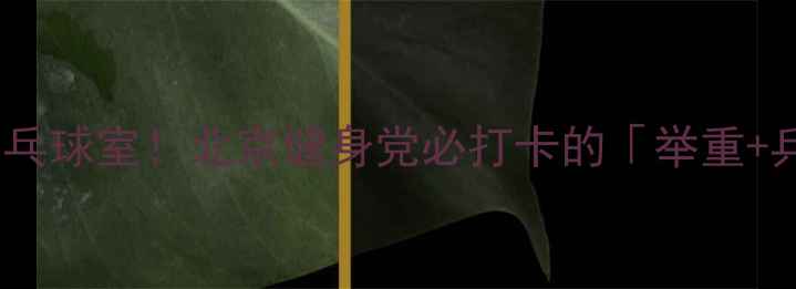 图片 🏓️地坛举重馆隐藏款乒乓球室！北京健身党必打卡的「举重+乒乓」双buff玩法！💪🔥1