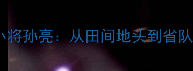 图片 🏓️绥化乒乓球小将孙亮：从田间地头到省队战场的逆袭之路1
